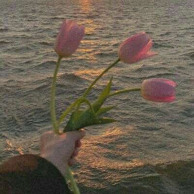 澳博在线官网娱乐游戏